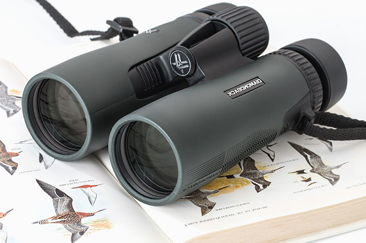 a photo of a pair of binoculars resting on a birding book