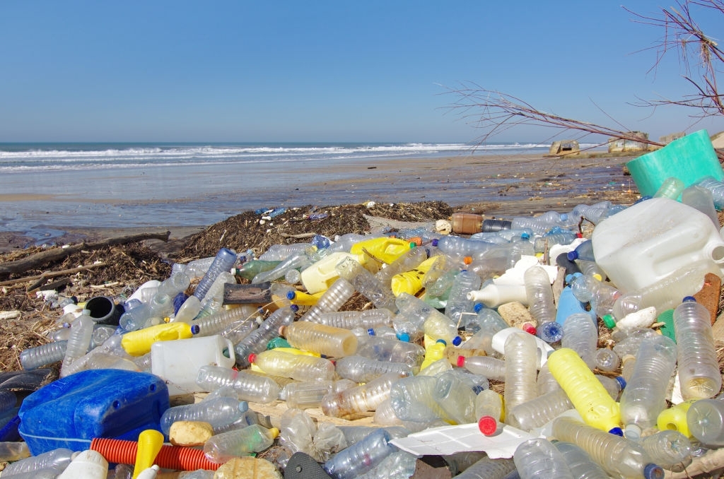 a shoreline with thousands of empty plastic single use bottles