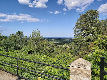 a view of the city of Hamilton from the top of the escarpment at Matt Broman Park in the summer with blue sky