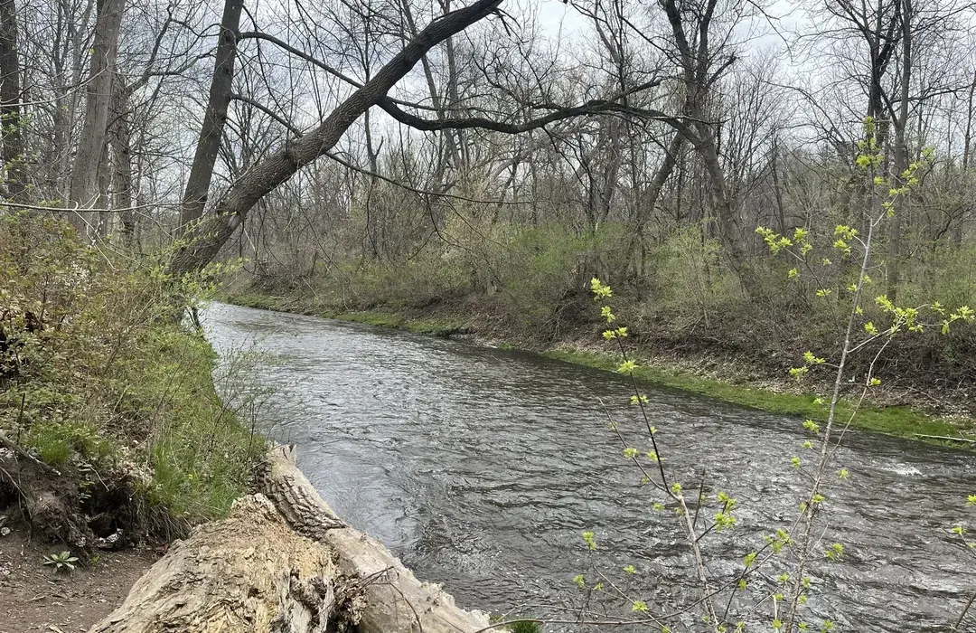 spencer creek in Dundas